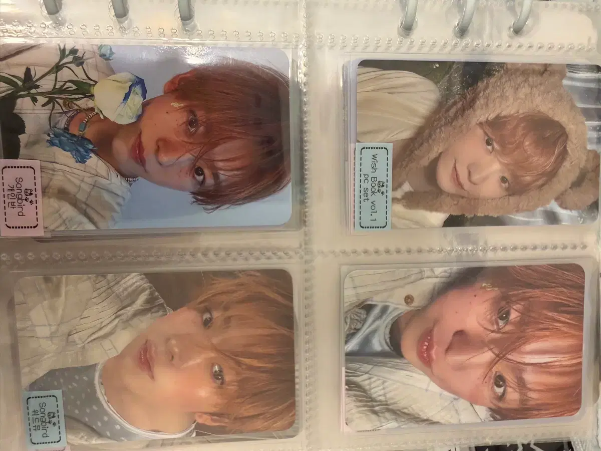 thumbnail-1